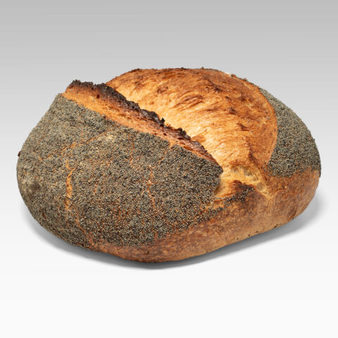Italiaans brood met maanzaad